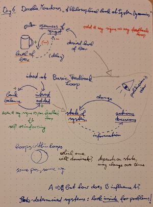 My notes on Donella Meadows' lecture “A Philosophical Look at System Dynamics”, minutes 18 to 36. Mostly reproducing the diagrams she drew on the blackboard. You'll be better off listening to her than reading this alt text.