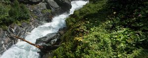 Photo of a tree trunk lying across a wild river, supported by rocks on either end.
